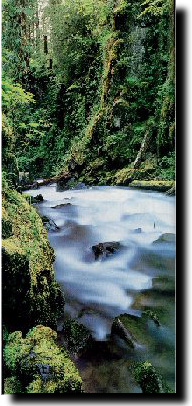 Olympic
National Park